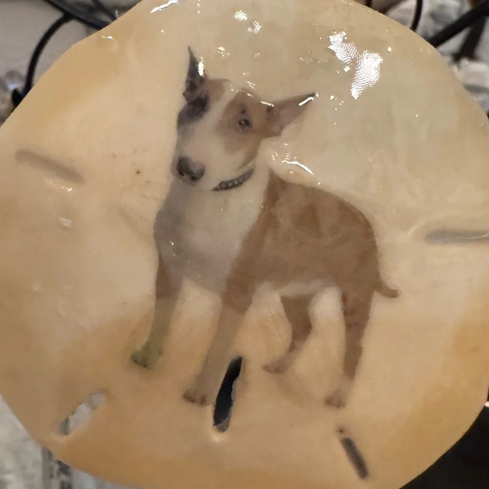 Bull terrier sand dollars custom made custom made! This one is 12$ custom 25$!